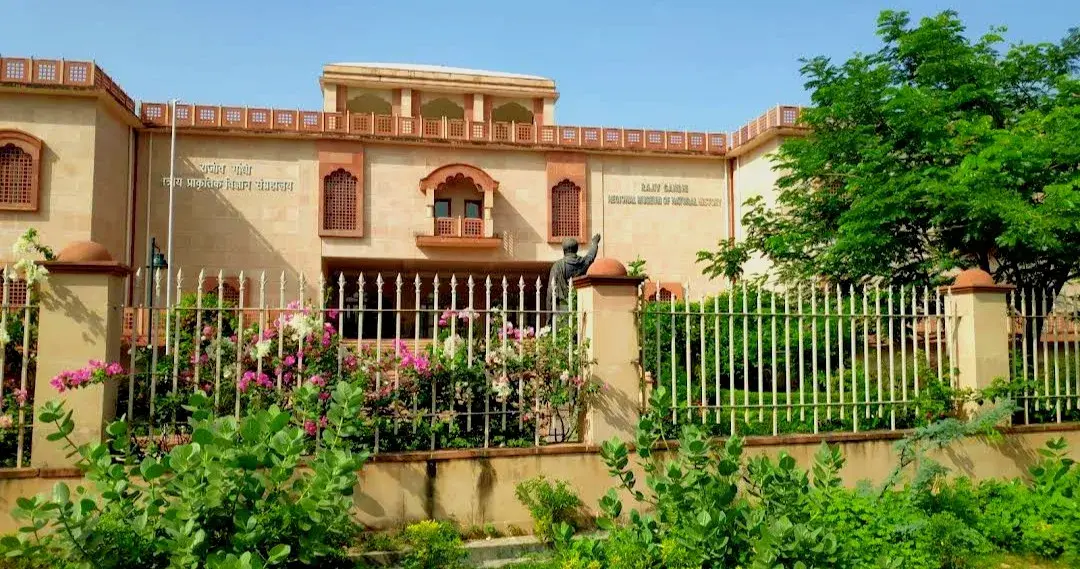 Rajiv Gandhi Regional Museum of Natural History